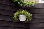 vibia campana hanging basket 26cm silky white